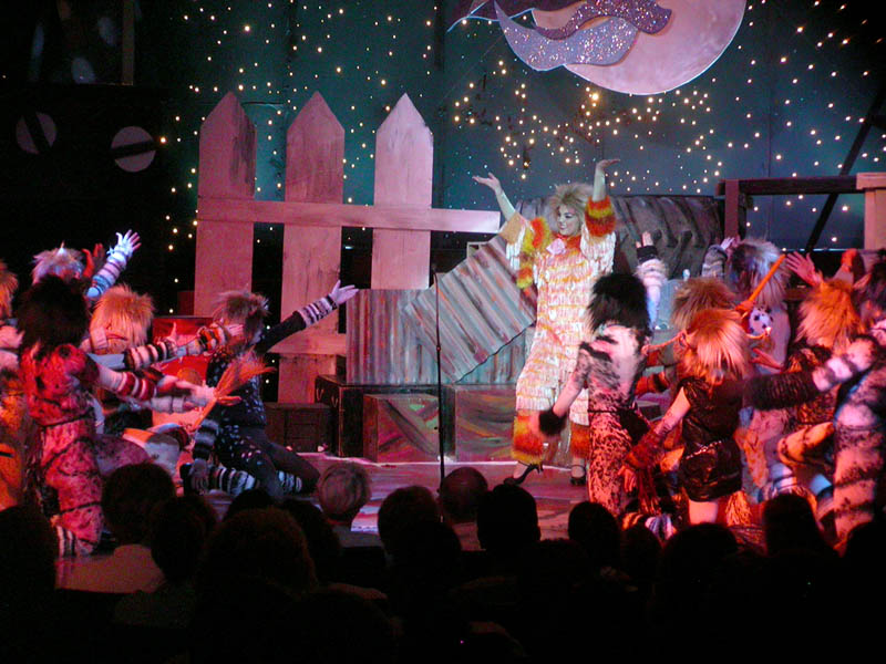 051 - 04/29 - Jennyanydots