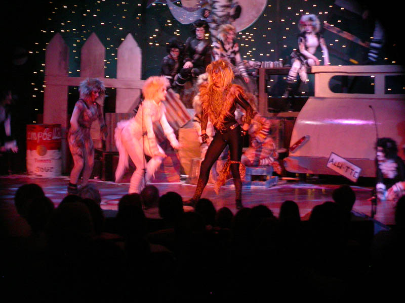 052 - 04/29 - Rum Tug Tugger