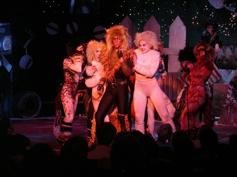 054 - 04/29 - Rum Tug Tugger