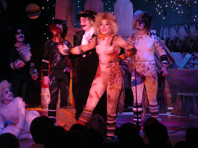 061 - 04/29 - Bustopher Jones