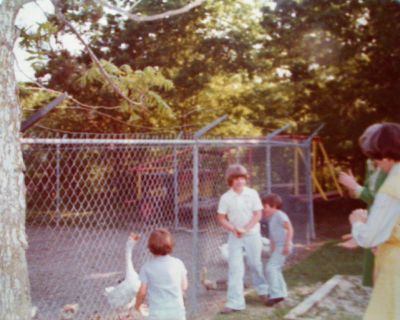 1976? - Animals at St Thomas