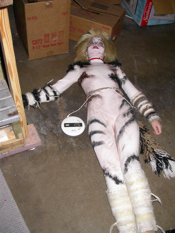 135 - 05/04 - Resting Kitten