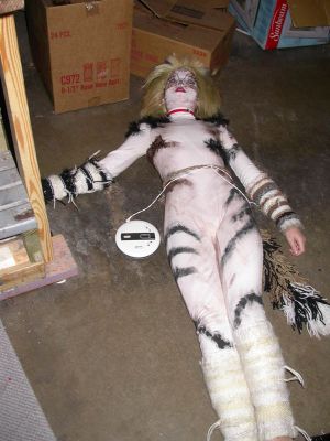 135 - 05/04 - Resting Kitten