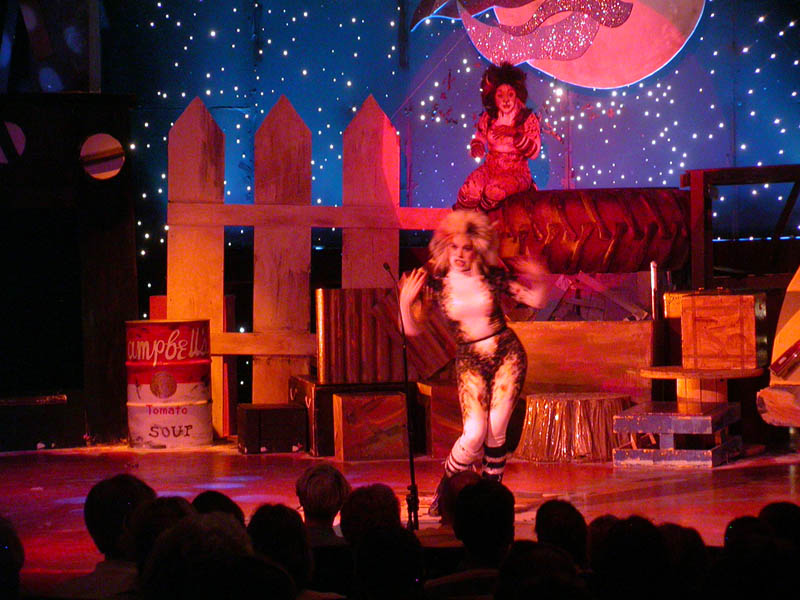 087 - 04/29 - Macavity Dance
