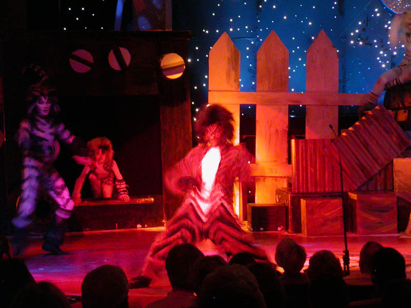 091 - 04/29 - Macavity