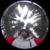 045 - Alan and Trees by Alan Bryant