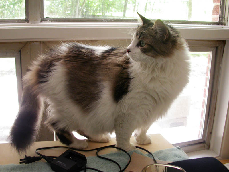 08/10 - 01 Squeak Explores