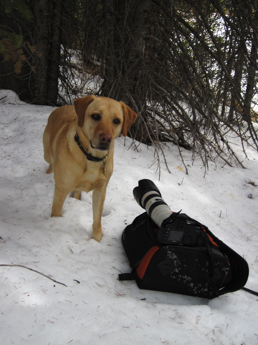261 - Cheyenne and Camera