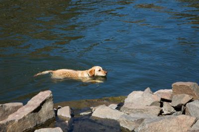 155 - Cheyenne Swimming