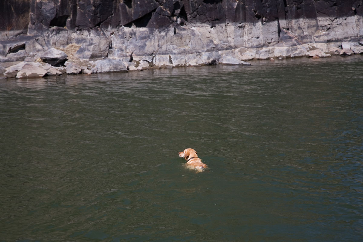 176 - Cheyenne Swimming