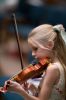 15 - Hyla Violin by Alan Bryant