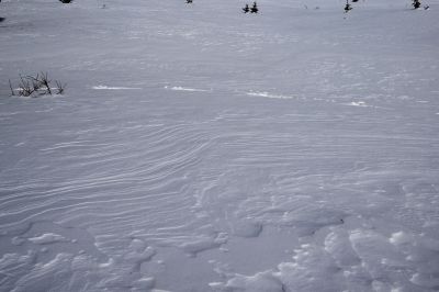 044 - Snow Patterns