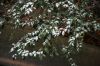 07 - Afternoon Snow by Alan Bryant