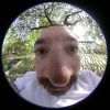 03 - Nose by Alan Bryant