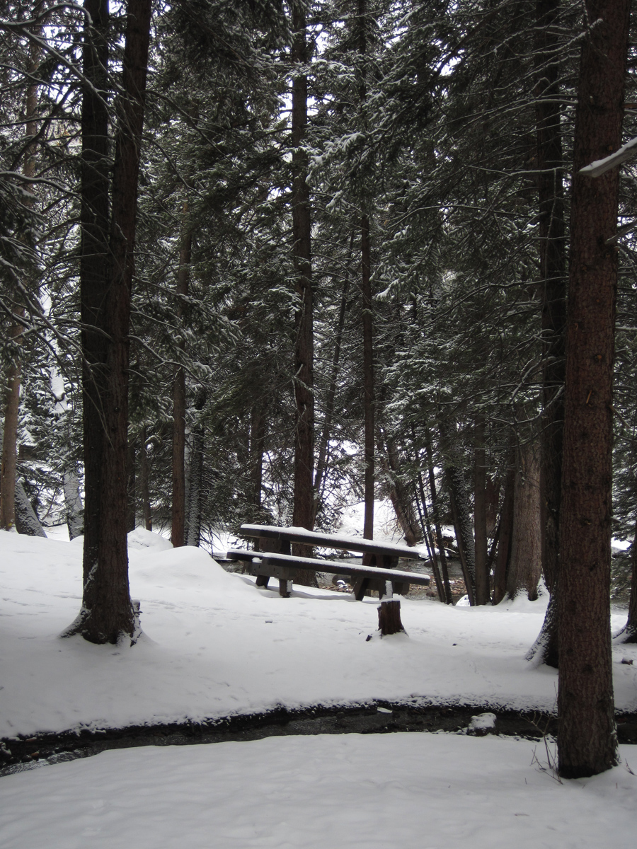 089 - Vail Picnic Table