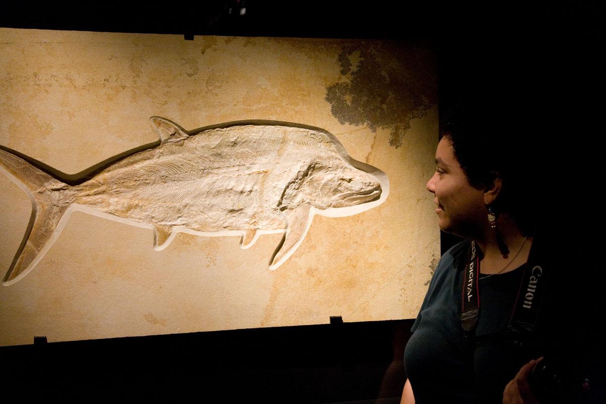 067 - Fossil Fish and Summer