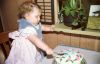 17 - Cassie's Cake by Alan Bryant