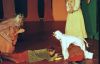52 - Poor Milky White by Alan Bryant