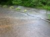 01 - Driveway by Alan Bryant