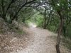 28 - Trail Home by Alan Bryant