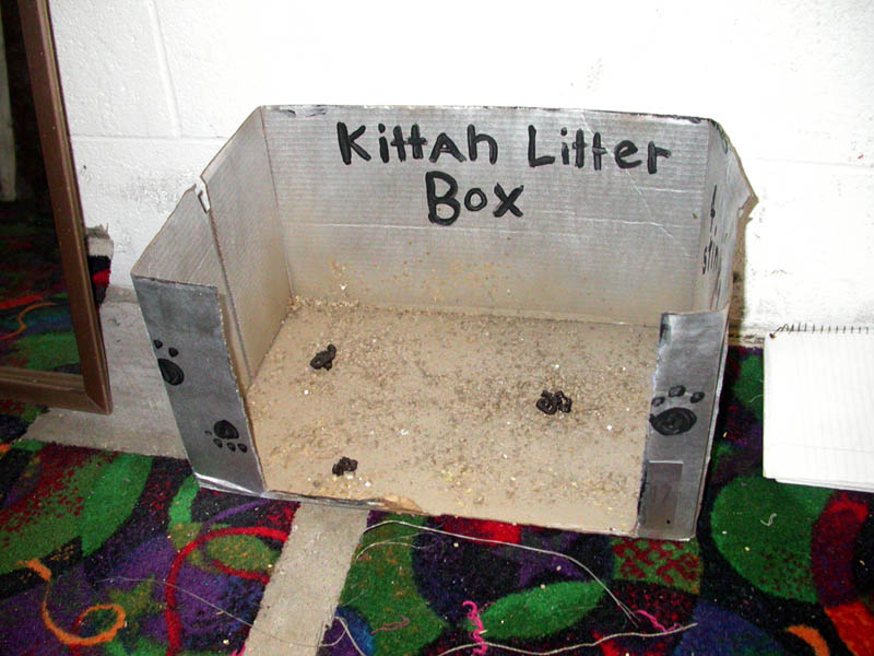 045 - 04/29 - A Touch Of Class