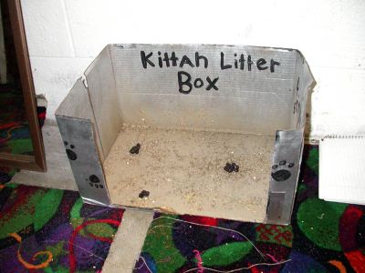 045 - 04/29 - A Touch Of Class