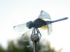 20 - 9/10 - Dragonfly by Alan Bryant