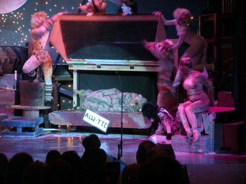 049 - 04/29 - Gumbie Cat