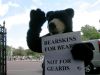 016 - Bears by Alan Bryant
