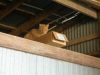 08 - Barn Cat by Alan Bryant