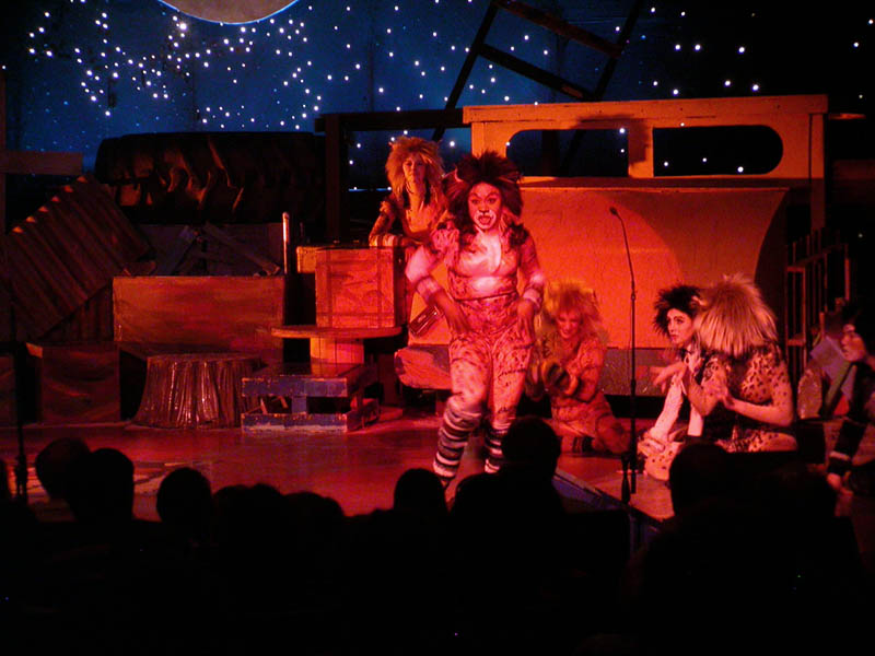 088 - 04/29 - Macavity Dance