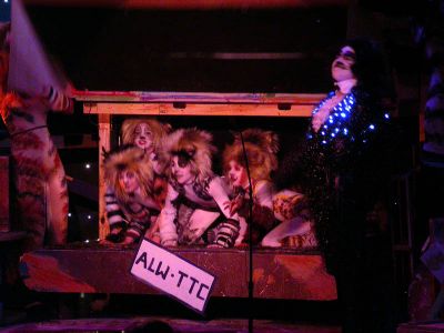 093 - 04/29 - Kittens