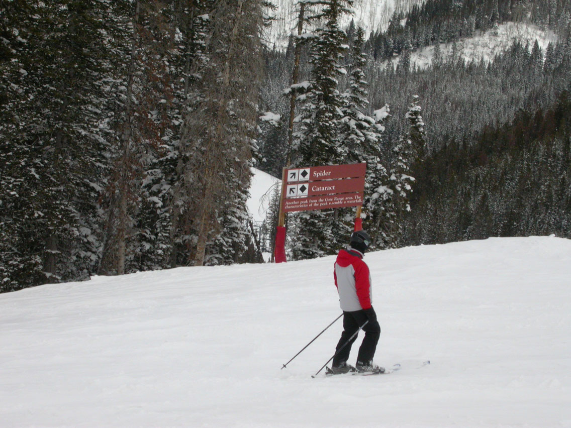 04 - Spider and Cataract