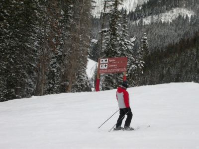 04 - Spider and Cataract