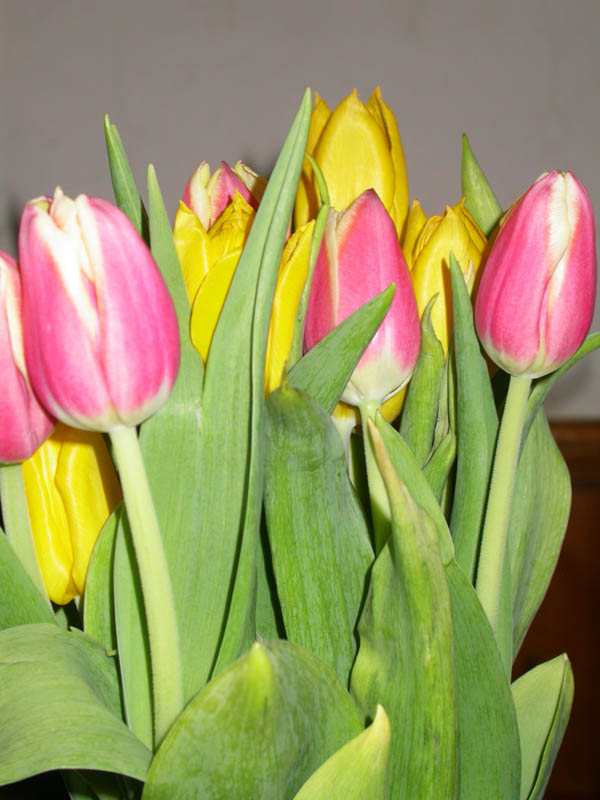 04 - Flowers