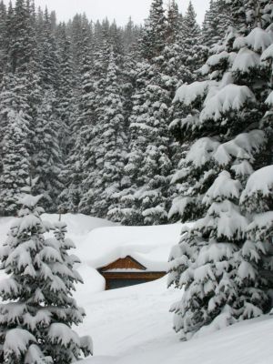 14 - Breckenridge Buried Cabin