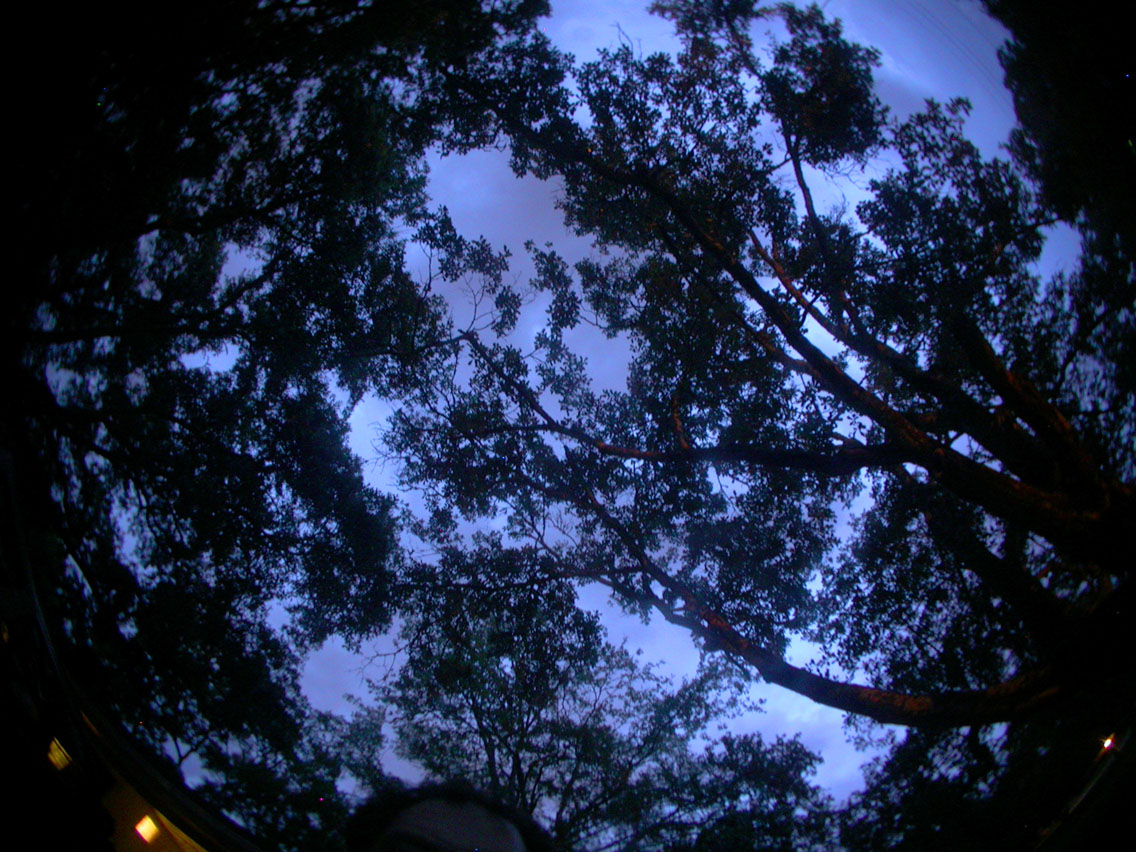 21 - 6/14 - Blue Sky