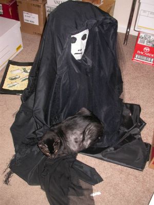 26 - 11/05 - Death and Socks