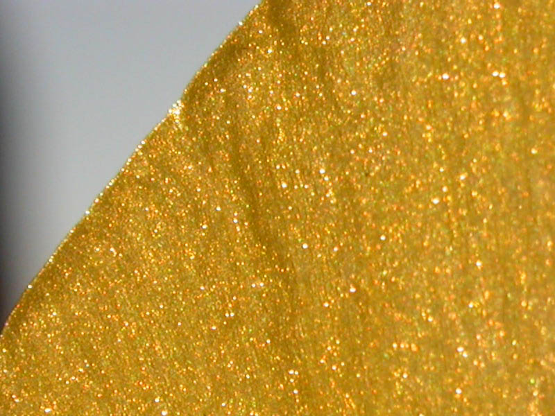 04 - Backlit Petal