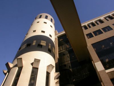 04 - Looking Up