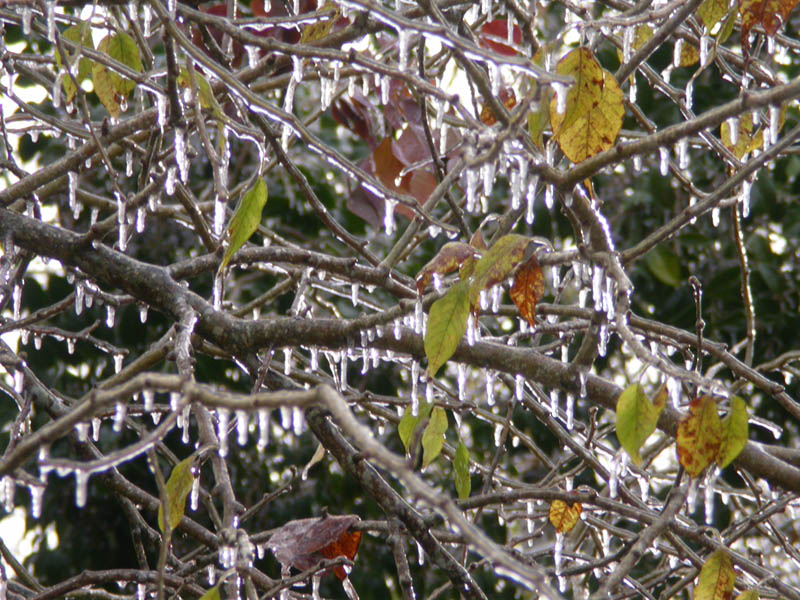 20 - Icicles