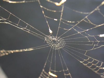 13 - Web