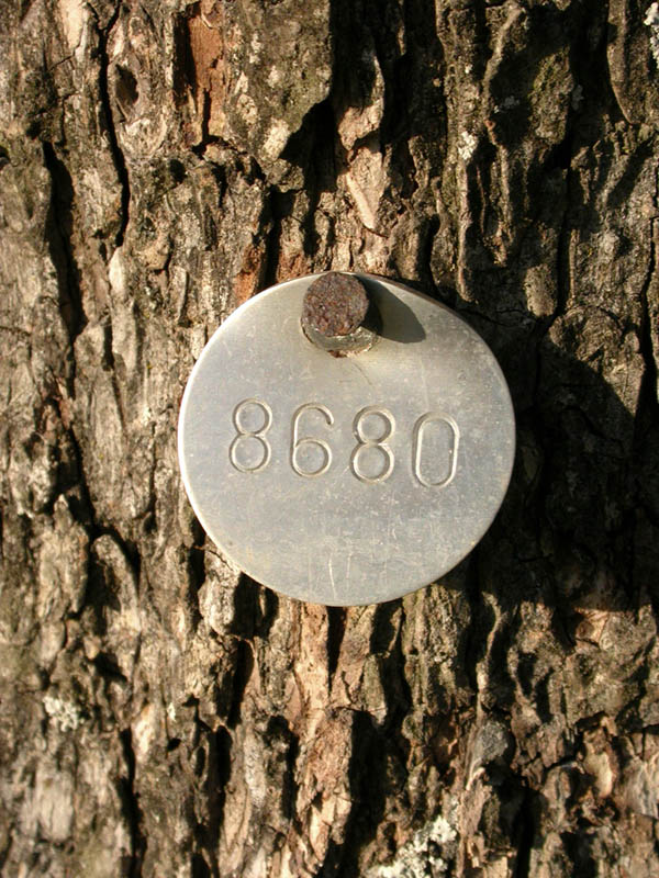 14 - Eight Thousand Six Hundred Eighty