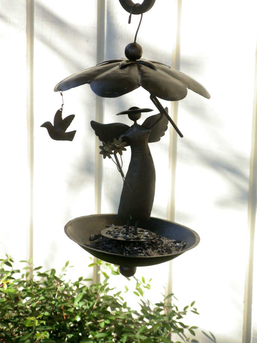 39 - 2/24 - Bird Feeder