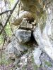 19 - Buzzard Cave by Alan Bryant