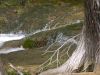 26 - Waterfall by Alan Bryant