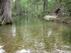 28 - Downstream by Alan Bryant