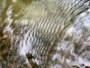 36 - Ripples by Alan Bryant