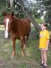 60 - Horse and Leah by Alan Bryant