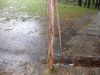 65 - Rain by Alan Bryant